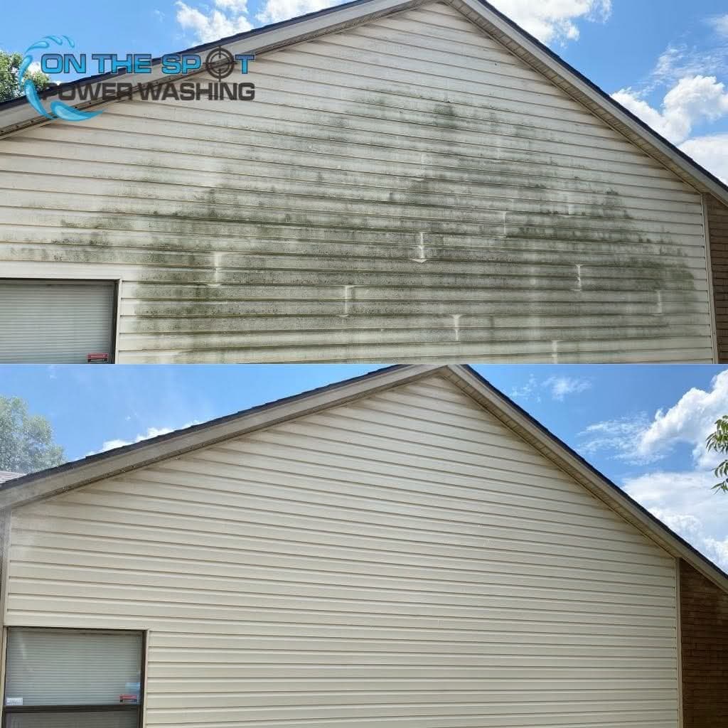 Before and after of vinyl house siding soft-washed to remove green algae and mildew
